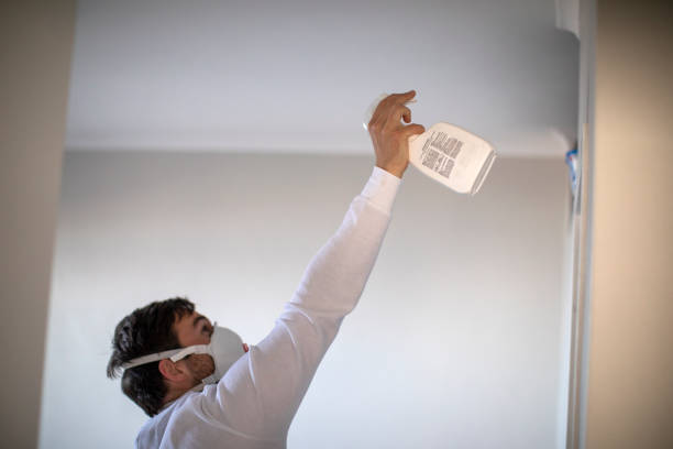 Best Same-Day Mold Removal  in Bainbridge, OH