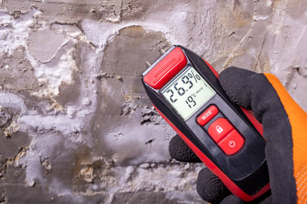 Best Professional Mold Removal  in Bainbridge, OH