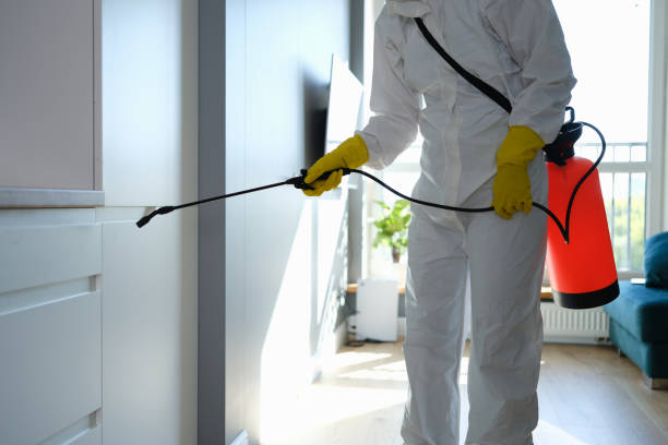 Best Office Mold Removal Services  in Bainbridge, OH